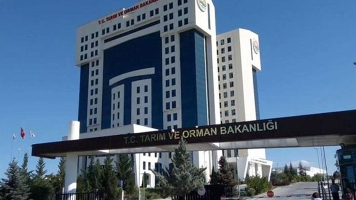 Tarım Ve Orman