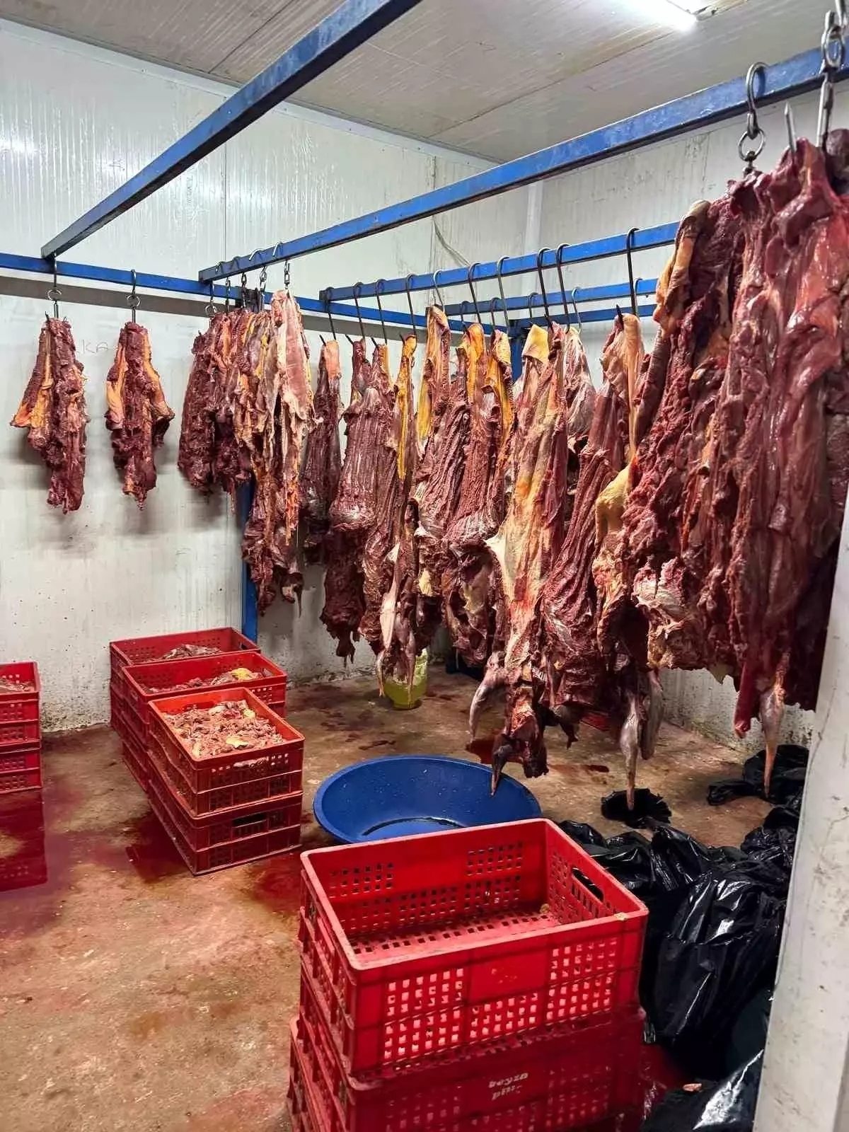 Adana Da 3 Ton Bozulmus At Eti E