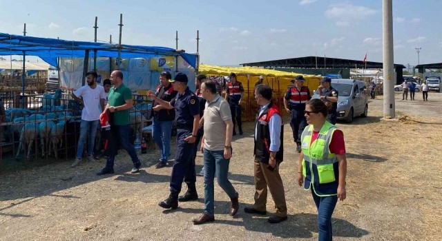 Kurban Bayrami Oncesi Hayvan Paz (1)