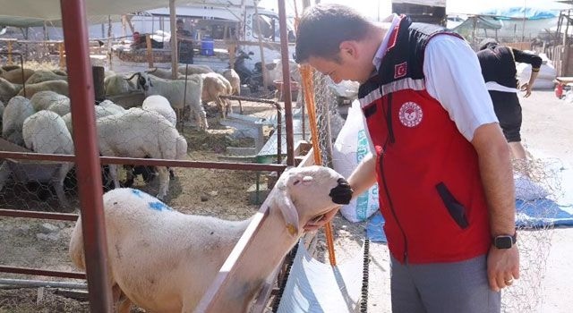 Kurban Pazari Denetimleri Aralik