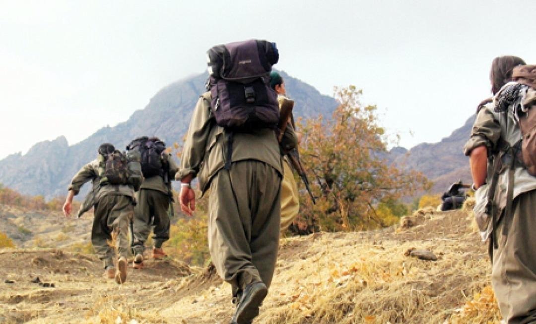 Pkk-1
