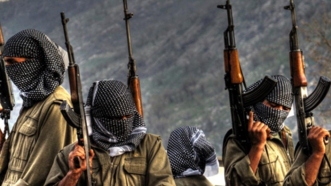 Pkk1