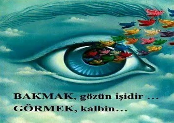 Bakmak Gormek