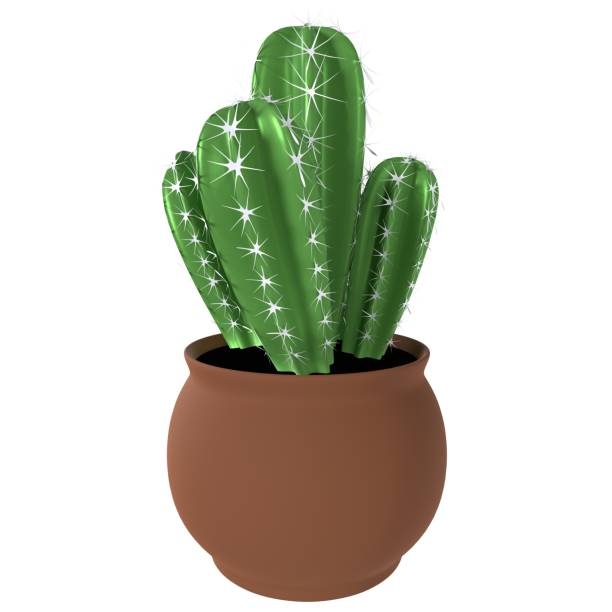 Cactus In Brown Pot Isolated On