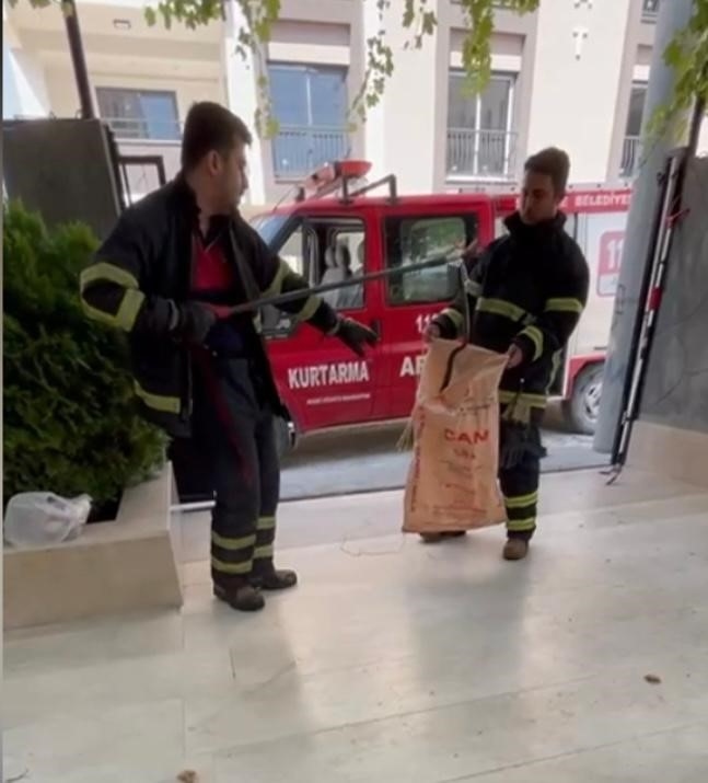 Dogal Gaz Kutusuna Giren Yilan D (1)