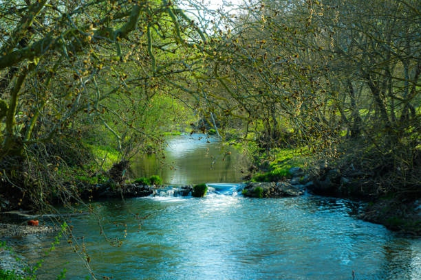 Flowing Stream And Waterfall In