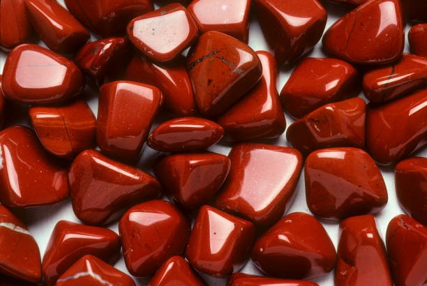 Jasper (1)