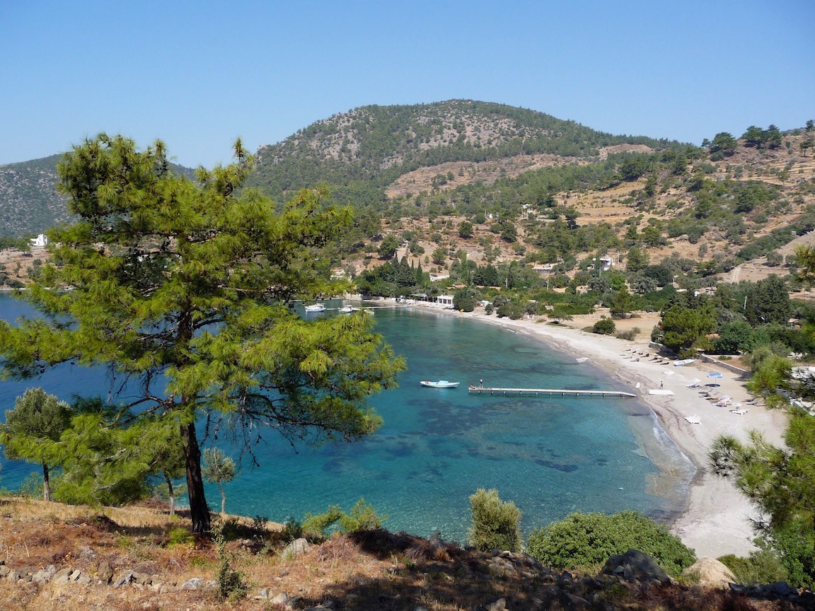 Mazi Bodrum