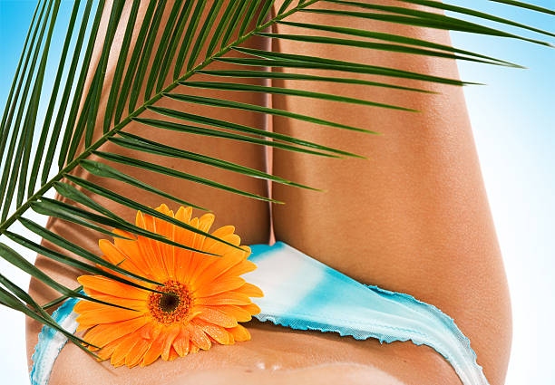 Perfect Female Body