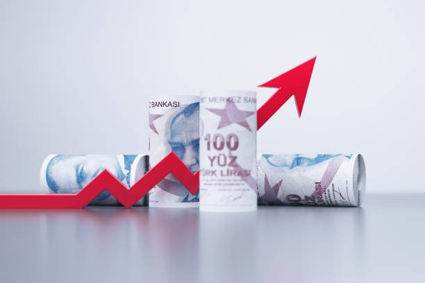 Rolled Up 100 Turkish Lira Bills-1