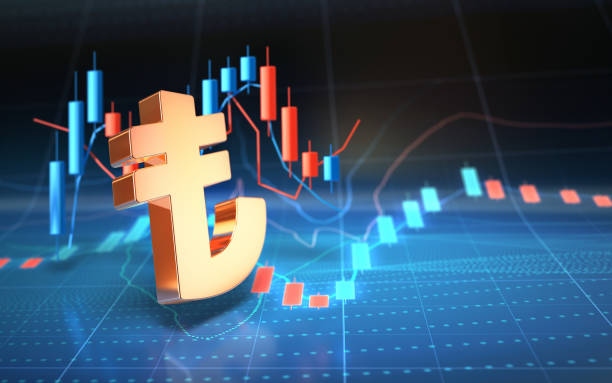 Turkish Lira Sign On Digital Gra