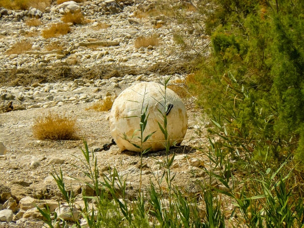 Israilin Renkleri