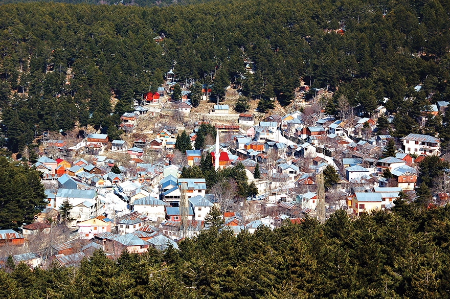 Zorkun Hizmet