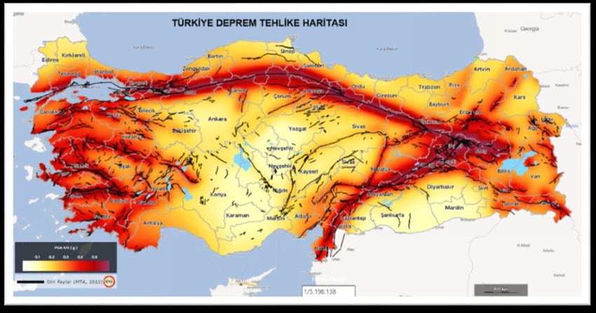 11 Wdse