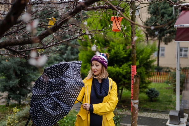 Şemsiyesini Açmaya Çalışan Sar